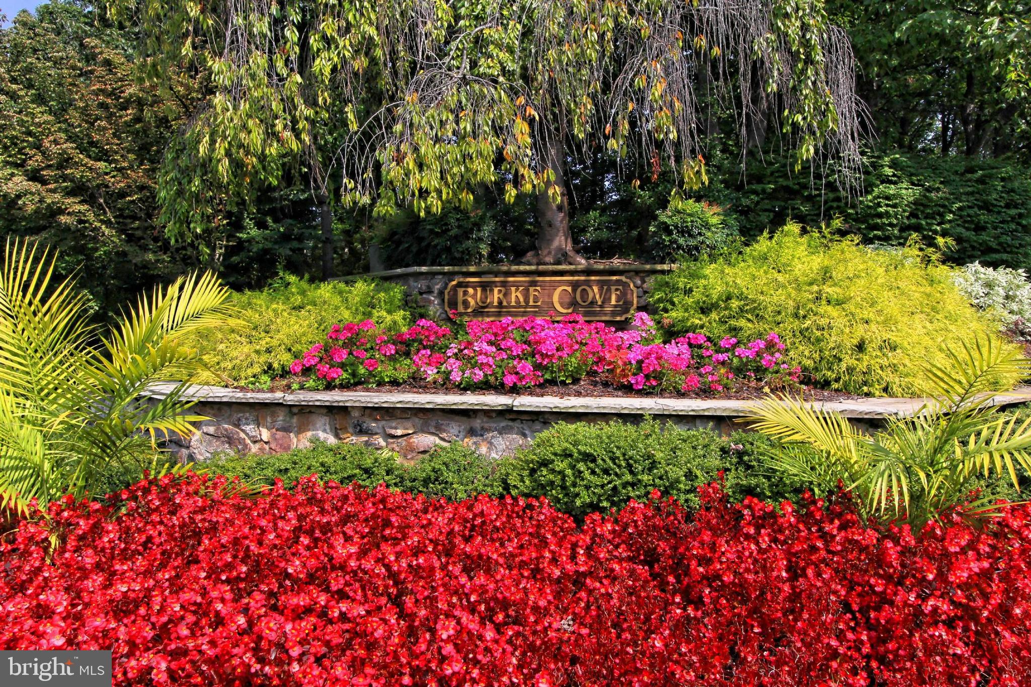 BURKE COVE - Residential