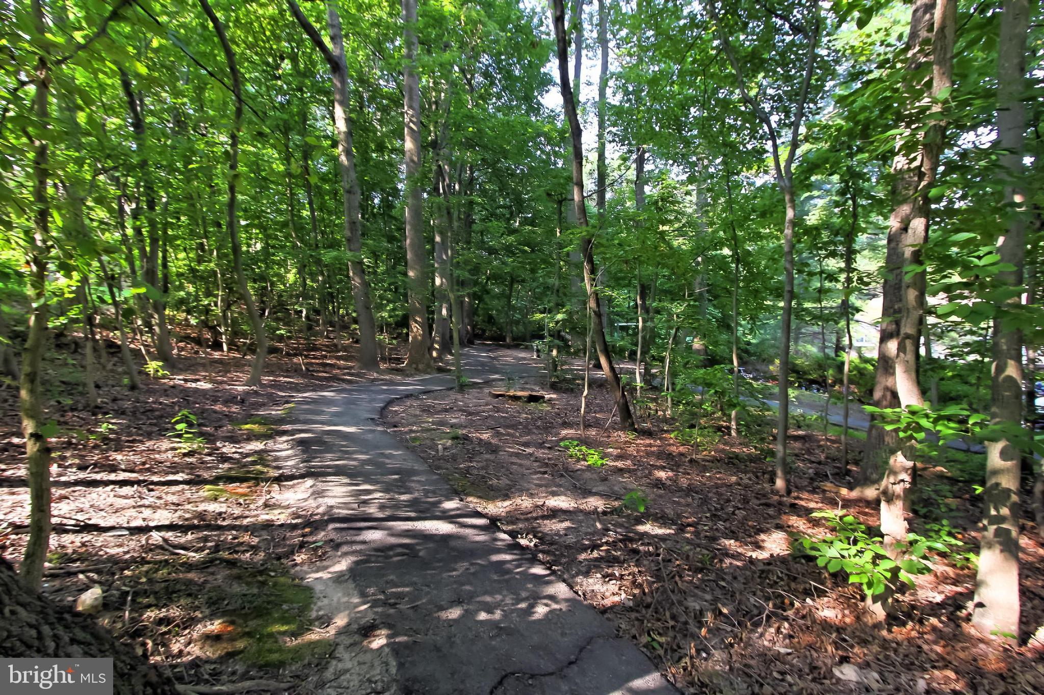 BURKE COVE - Residential