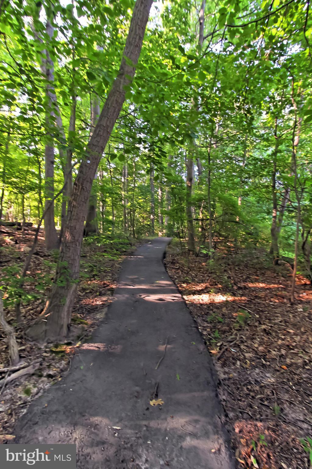 BURKE COVE - Residential