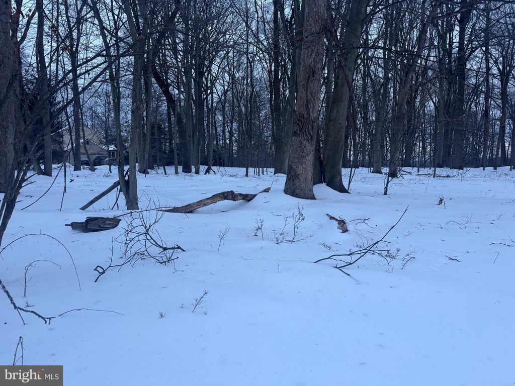 Photo of 2918 Snake Hill Road, DOYLESTOWN, PA 18902 (MLS # PABU2113776)