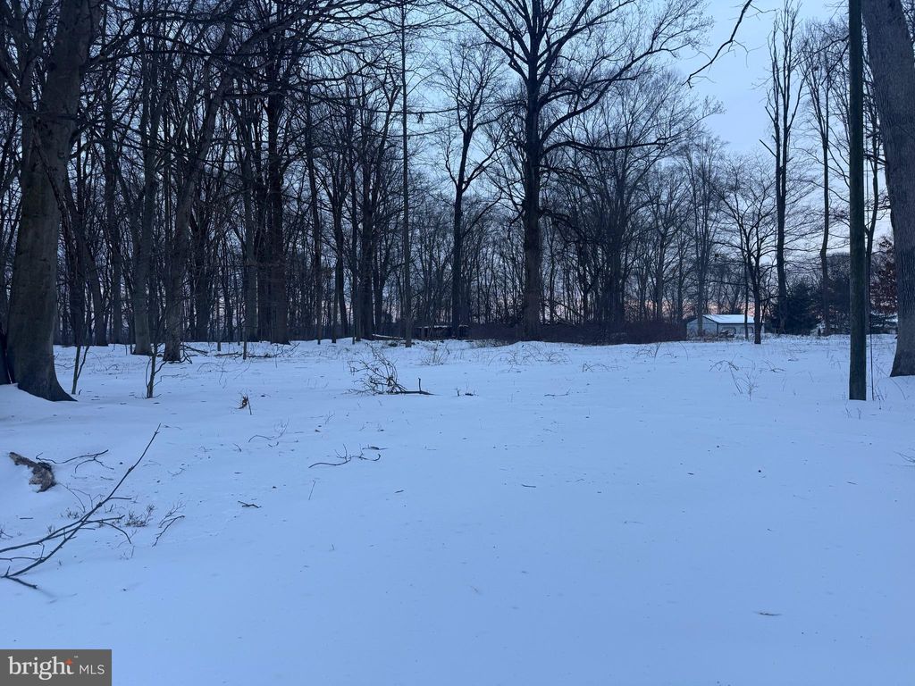 Photo of 2918 Snake Hill Road, DOYLESTOWN, PA 18902 (MLS # PABU2113776)