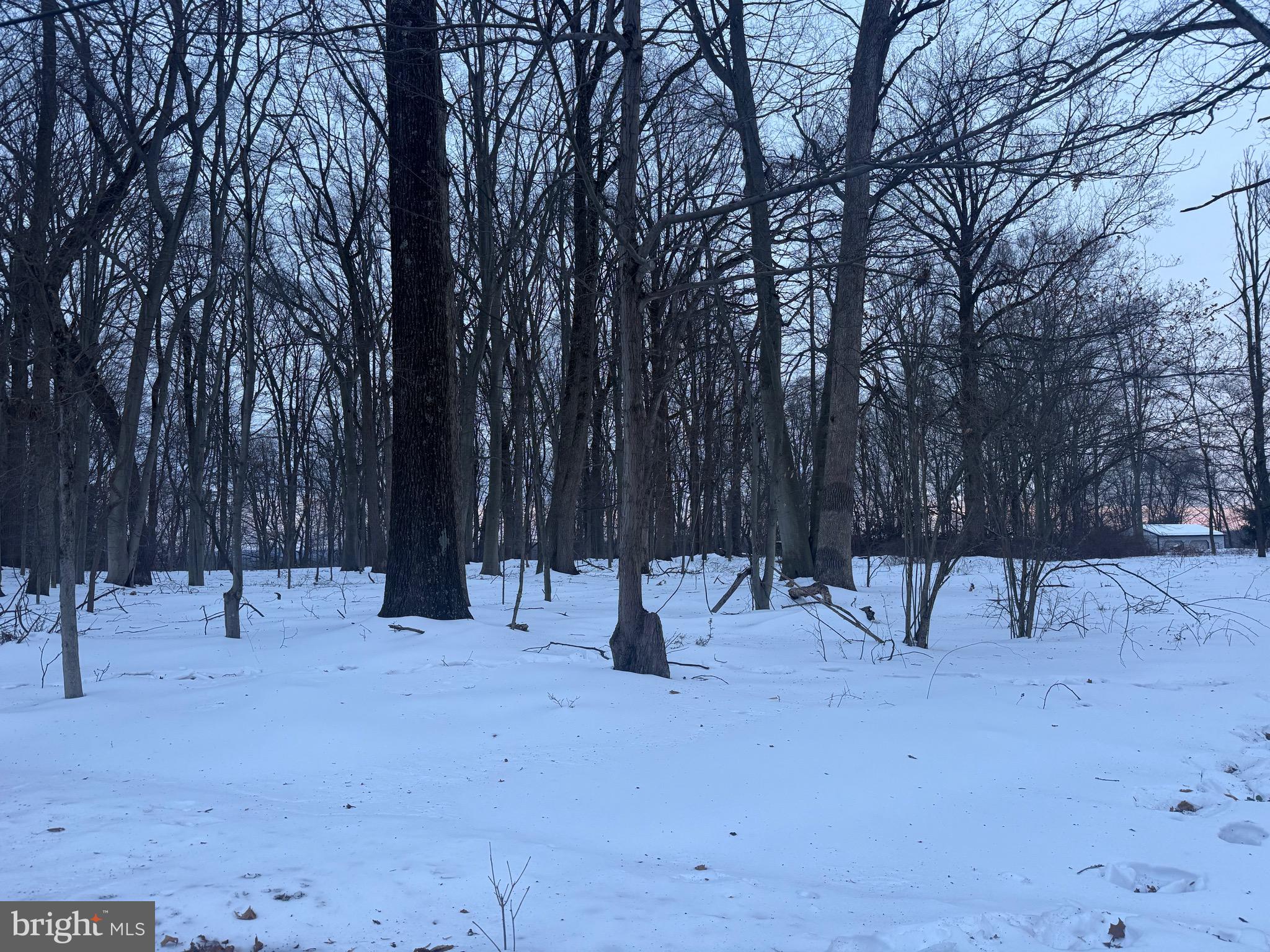 2918 SNAKE HILL ROAD