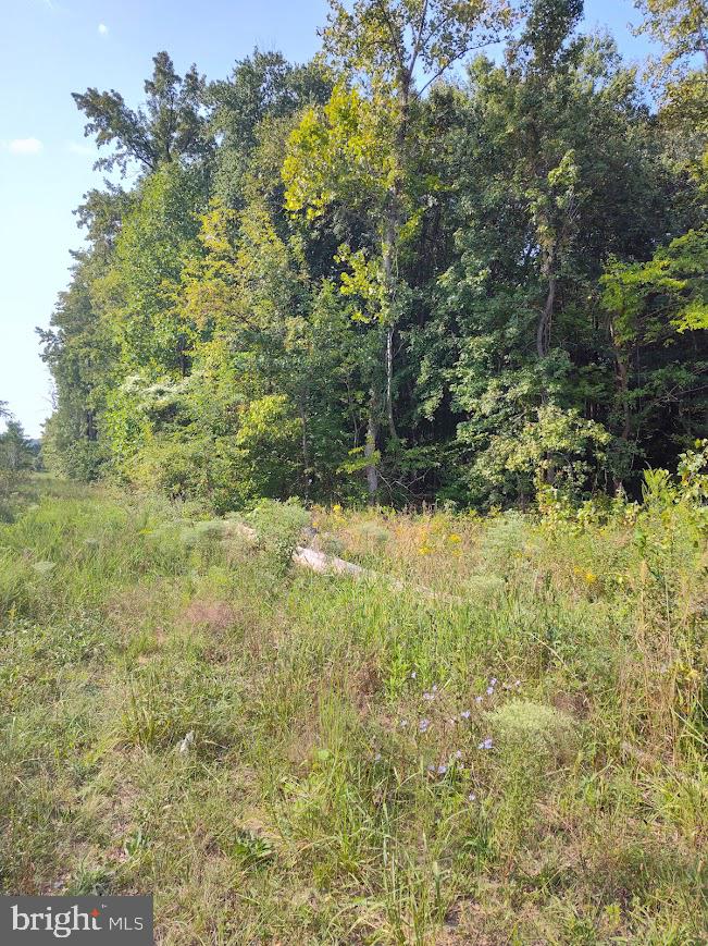 11250 LIVINGSTON ROAD