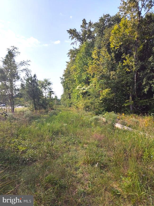 11250 LIVINGSTON ROAD