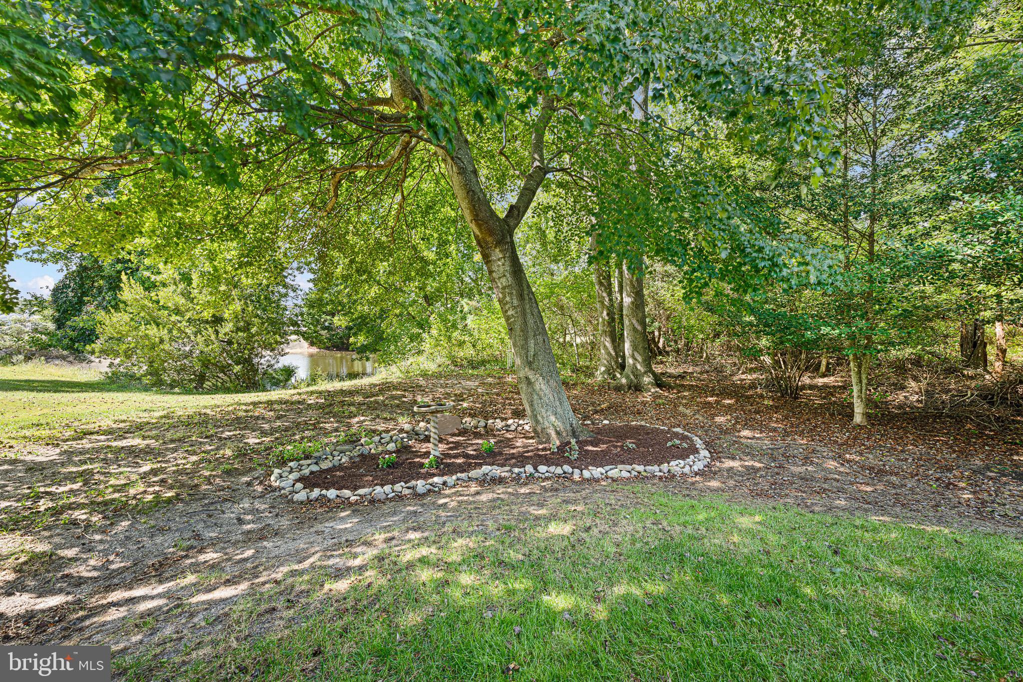 BETHANY PRESERVE - Residential