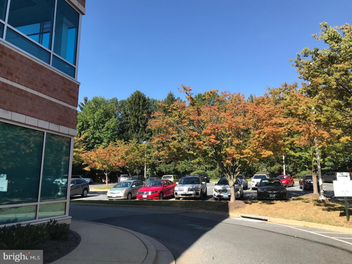17B FIRSTFIELD ROAD 202