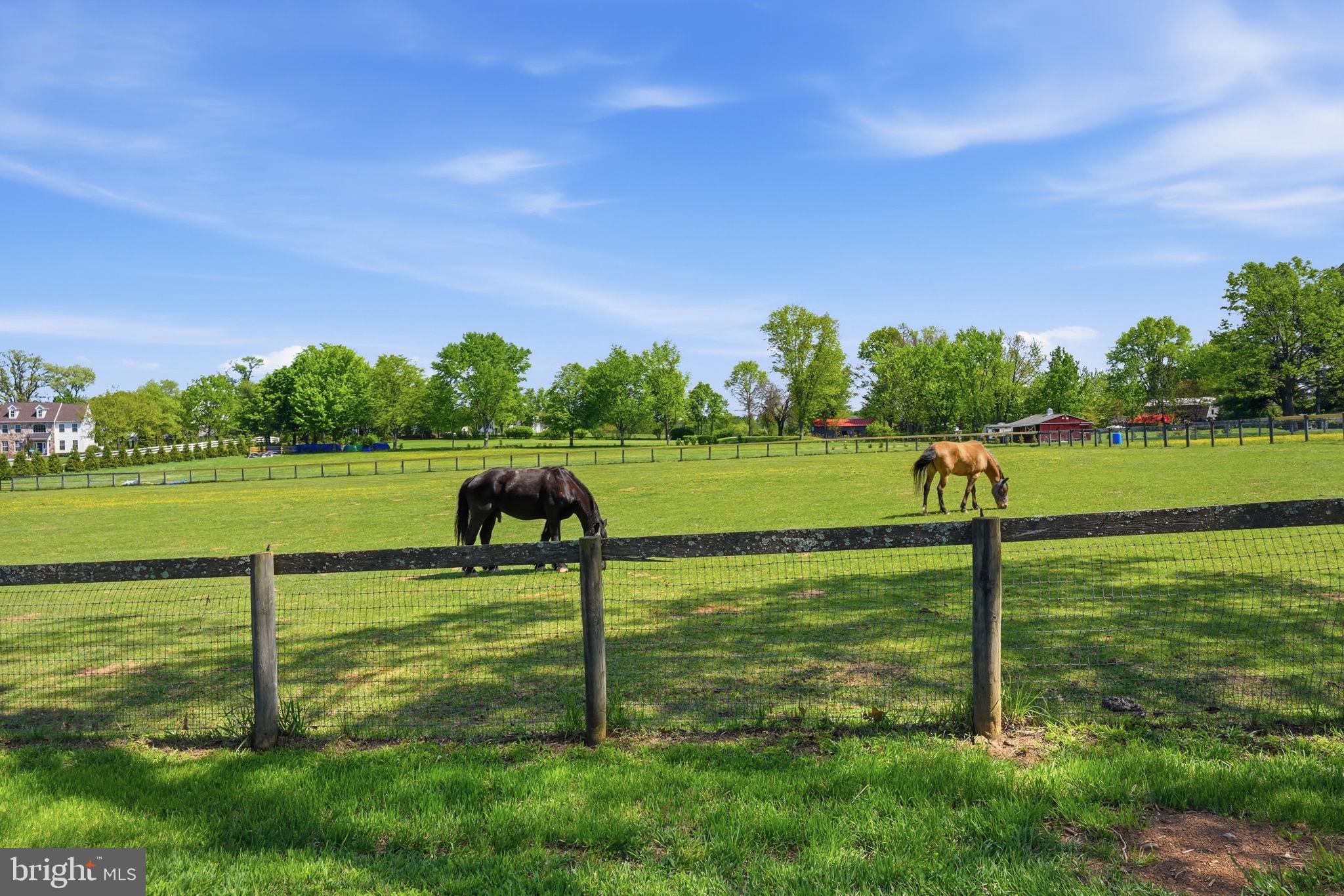 BECHTEL FARM - Residential