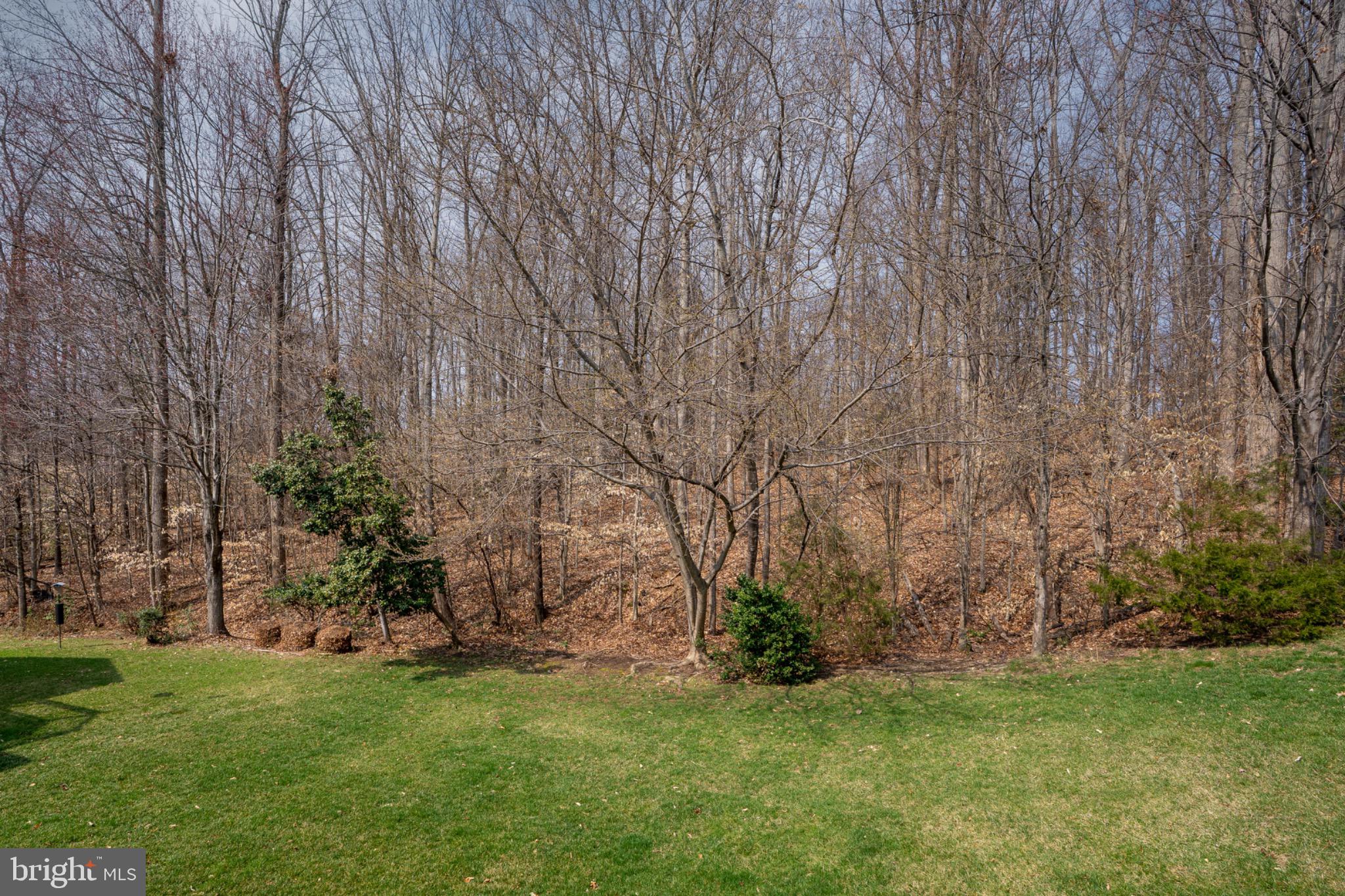 FALLS RUN - Residential