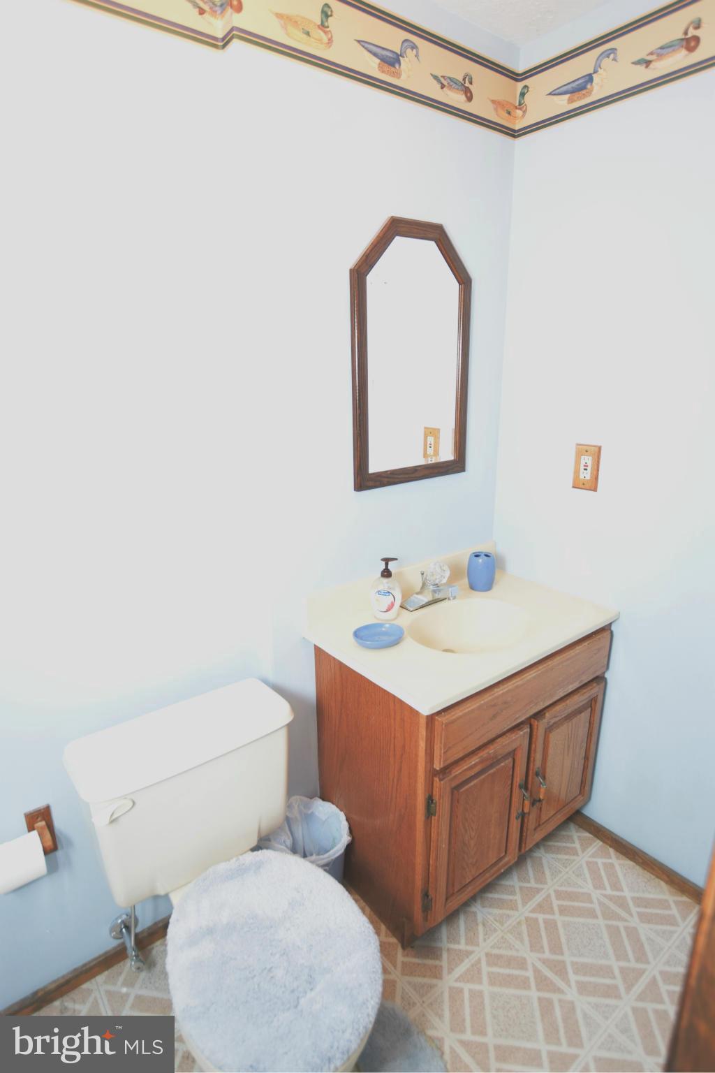 VILLAGE OF HICKORY RIDGE - Residential