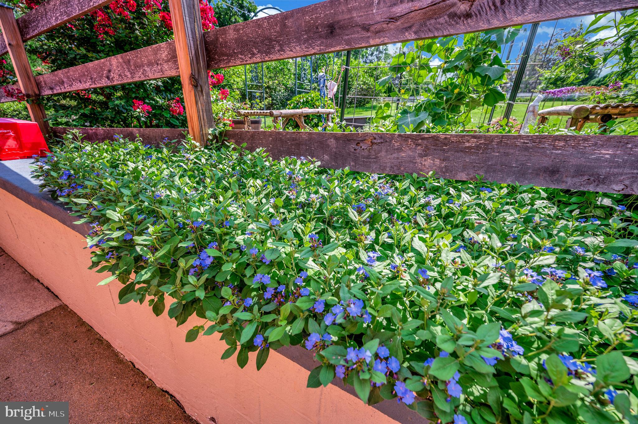 TOWN OF CULPEPER - Residential