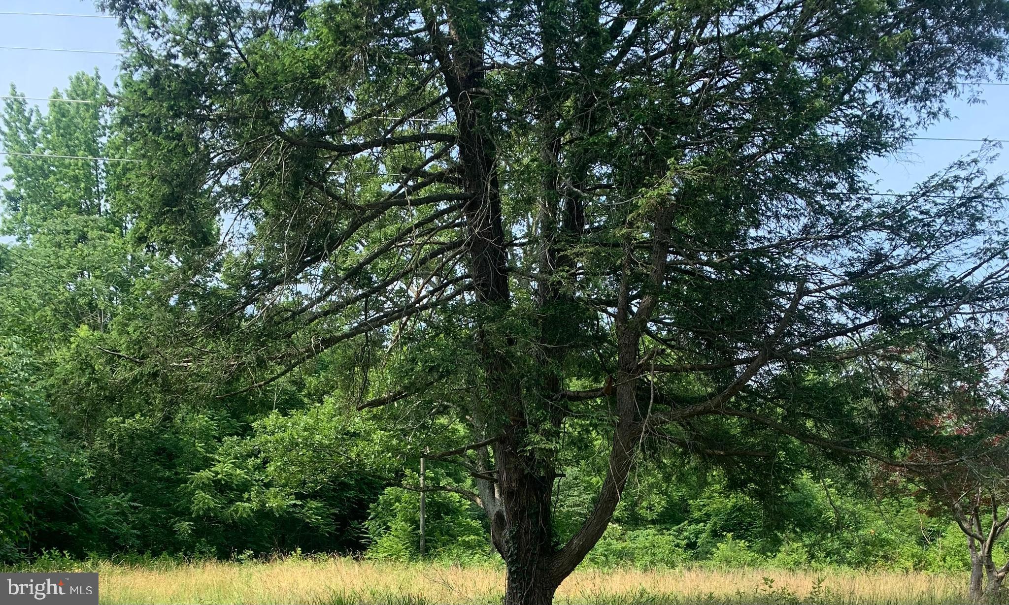 SPOTSYLVANIA COUNTY - Residential
