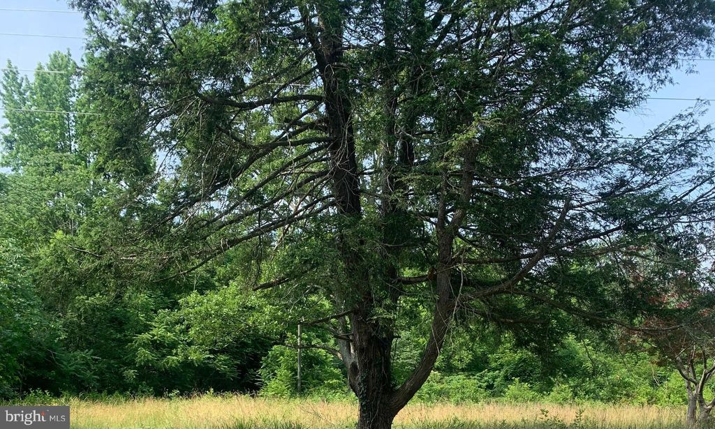 Photo of 11900 Post Oak Road, SPOTSYLVANIA, VA 22551 (MLS # VASP2040268)