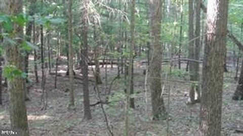 Vacant Land For Sale - Calypso Trail<br/> GREAT CACAPON, WV 25422