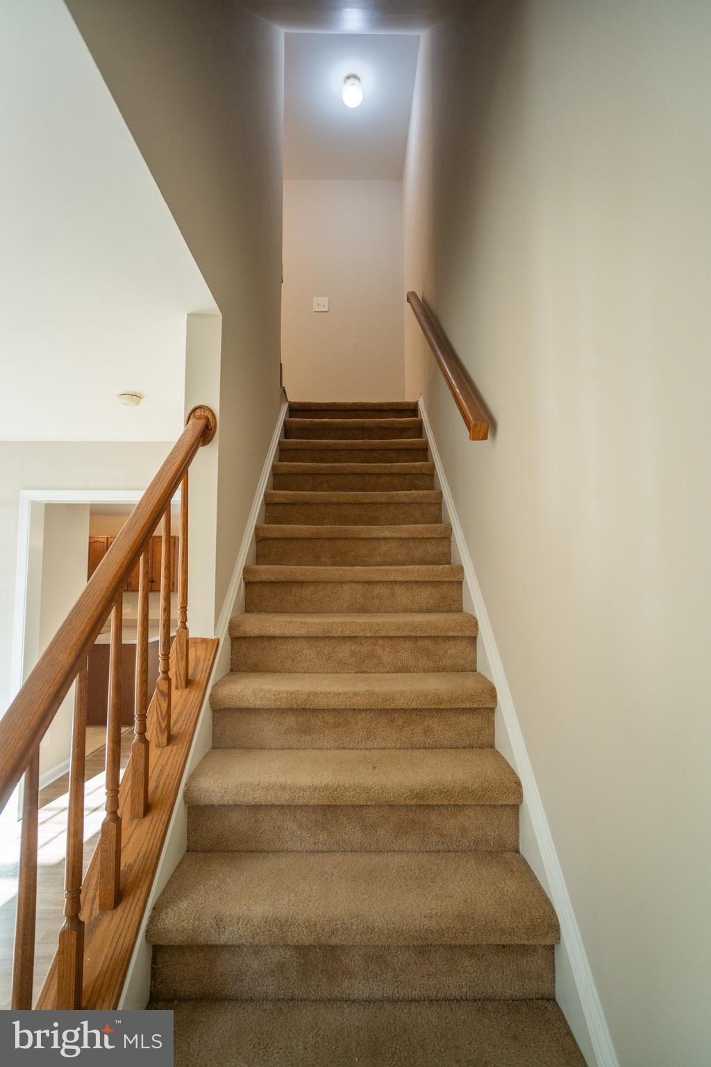 DOMINION FOREST - Residential