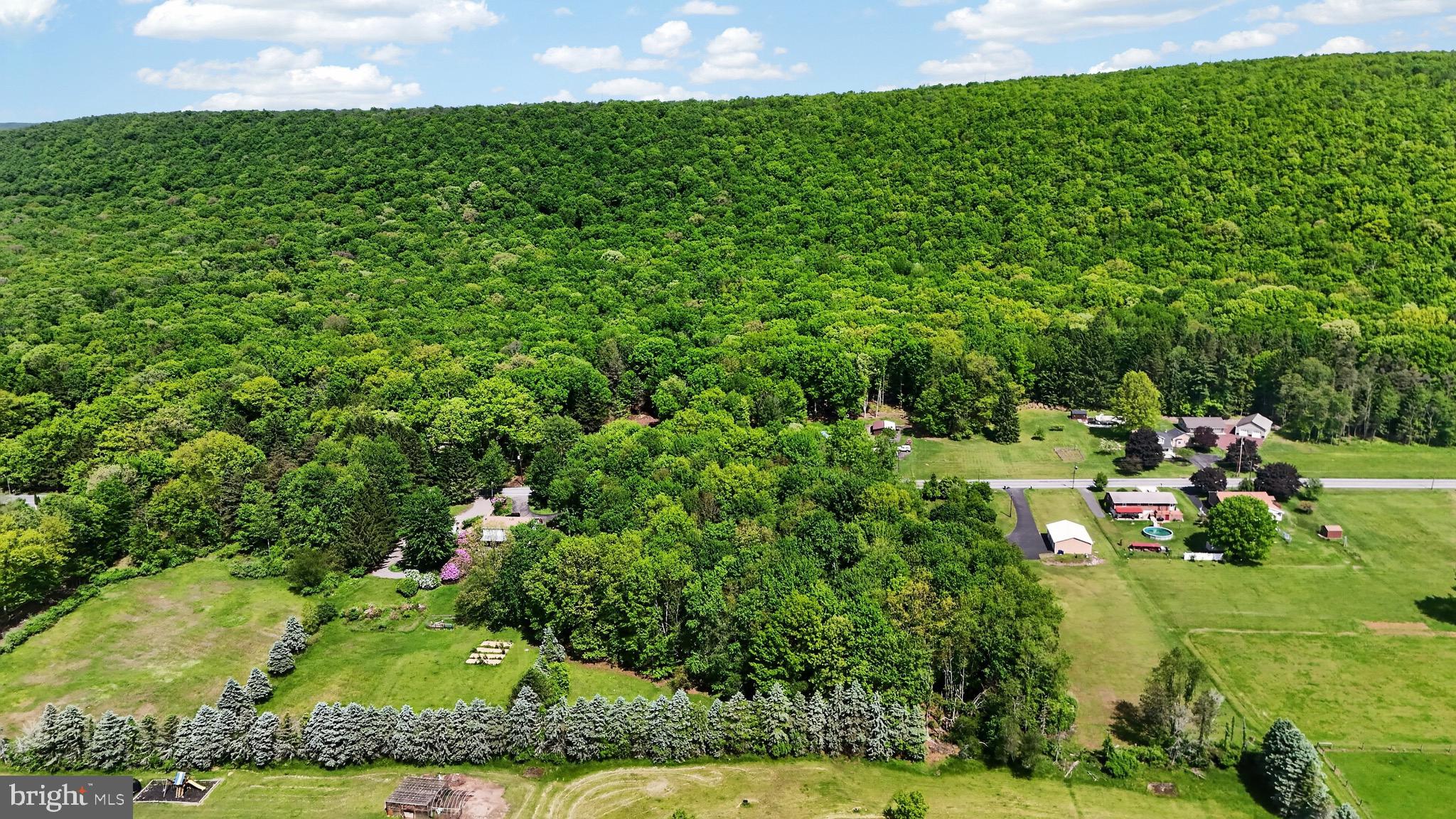 BEN TITUS ROAD