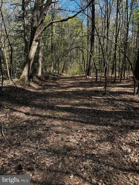 Vacant Land For Sale - Public Landing Road<br/> SNOW HILL, MD 21863
