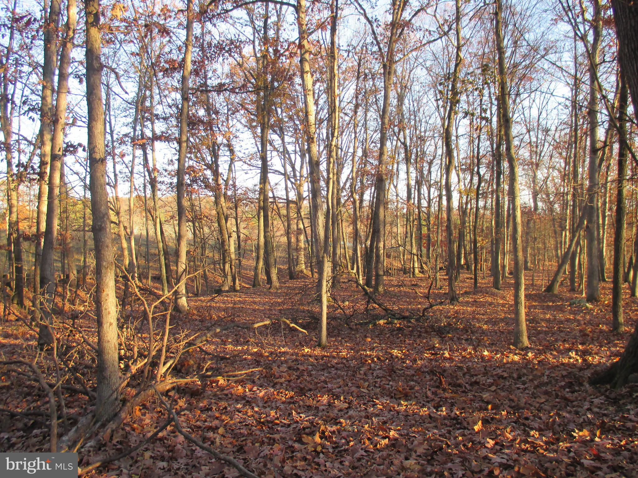 SHORT GAP AREA - Residential