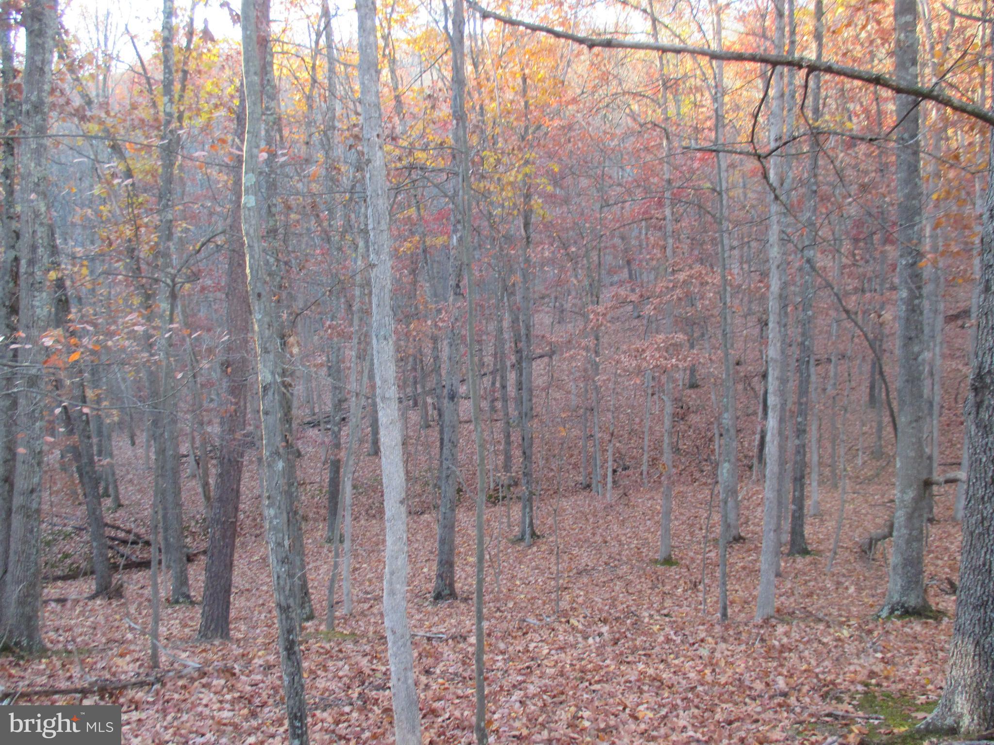 SHORT GAP AREA - Residential