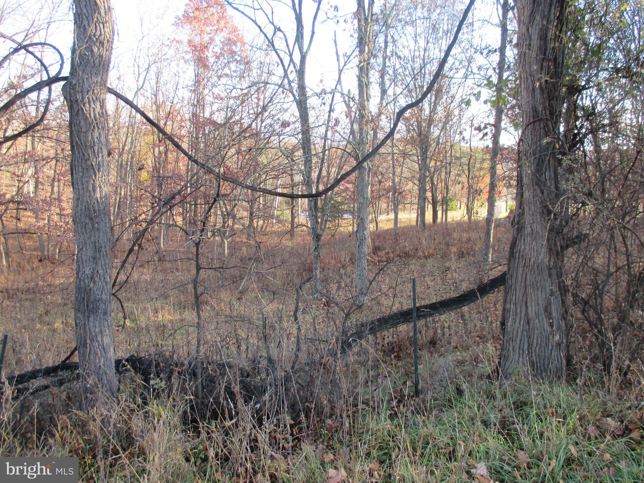 SHORT GAP AREA - Residential