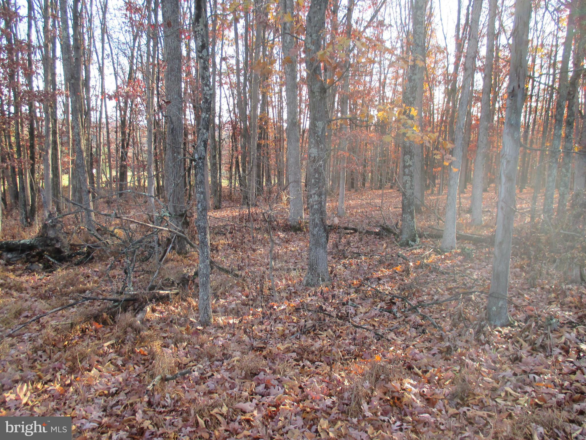 SHORT GAP AREA - Residential