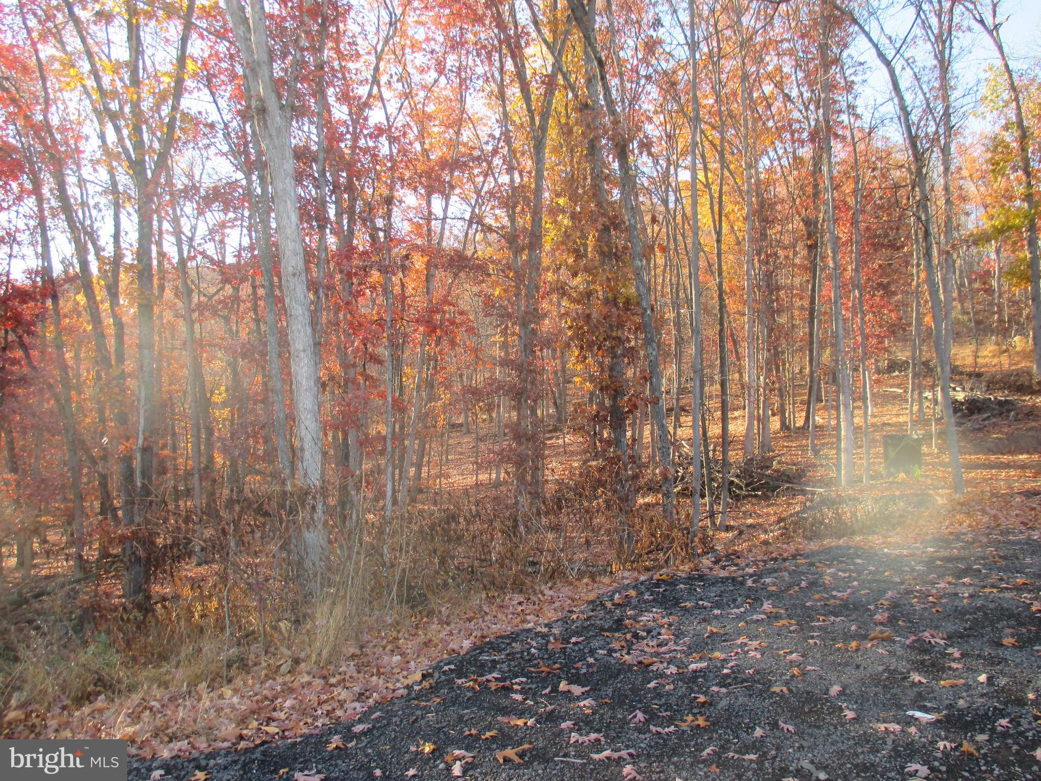 SHORT GAP AREA - Residential