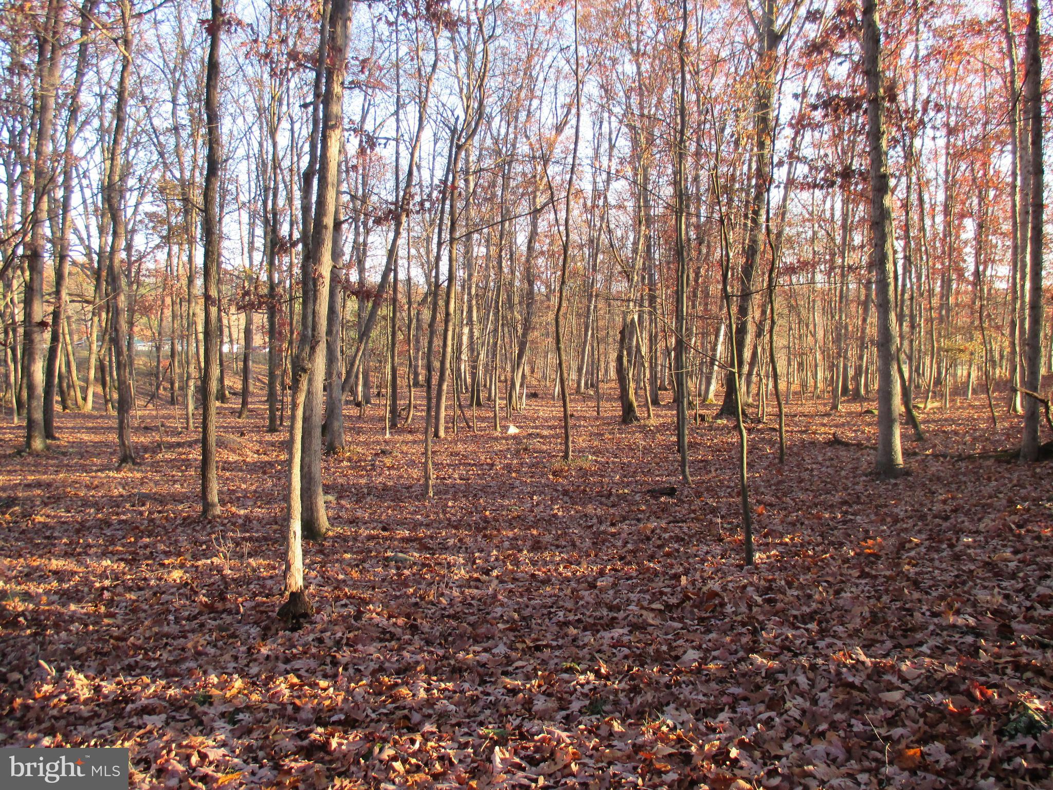 SHORT GAP AREA - Residential