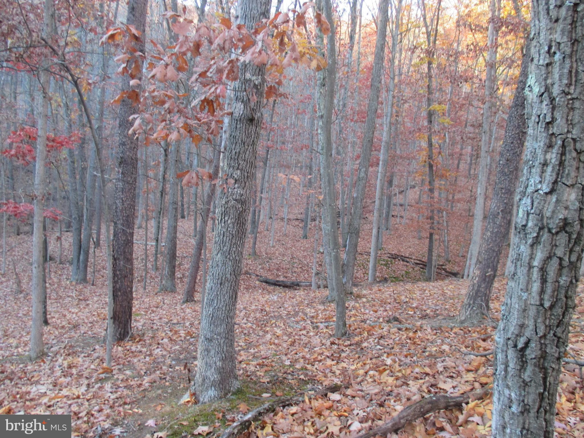 SHORT GAP AREA - Residential