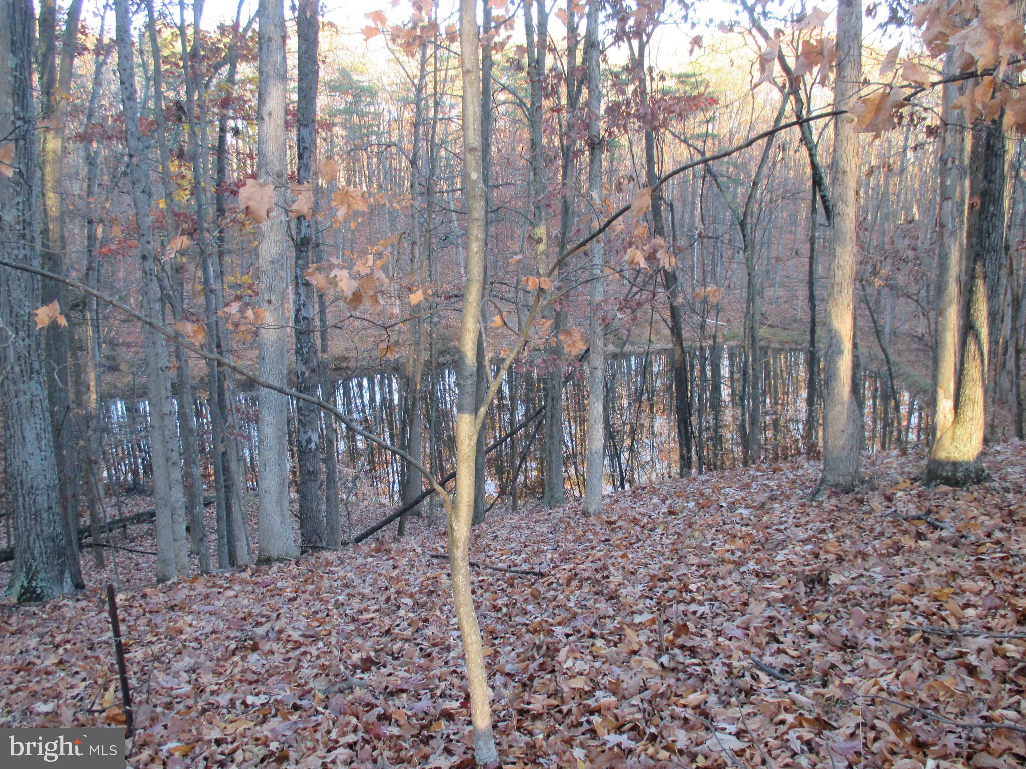 SHORT GAP AREA - Residential