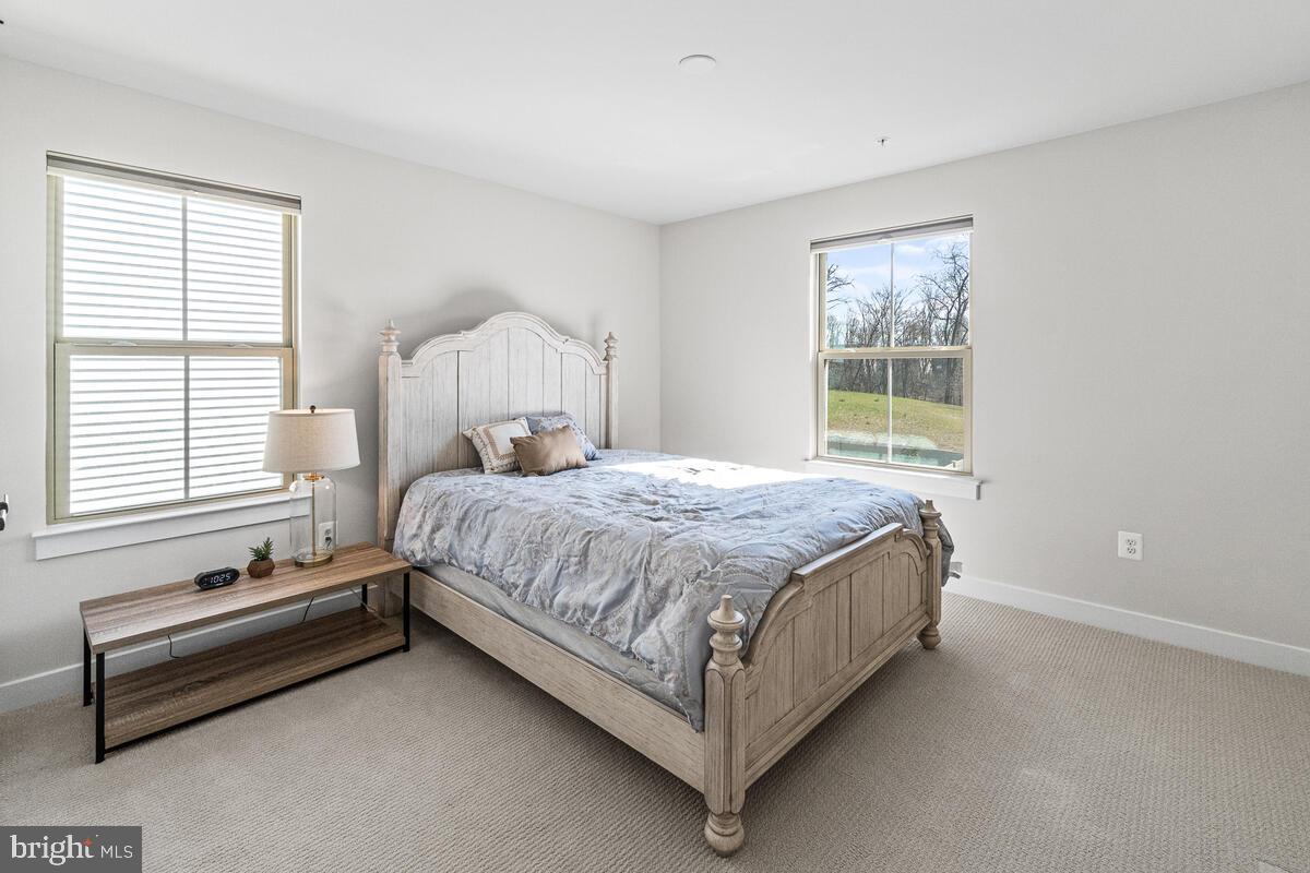 WOODRIDGE AT LAKE LINGANORE - Residential