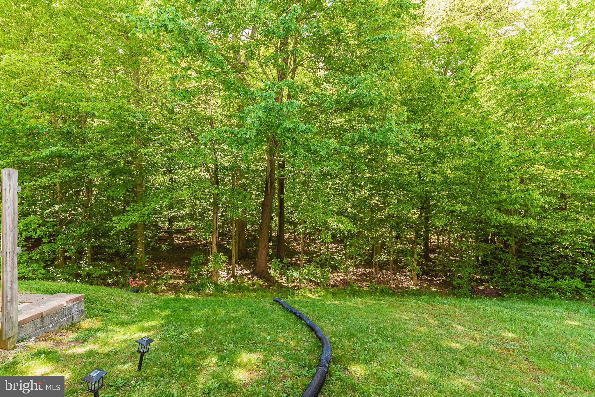 HOLLY WOODS - Residential