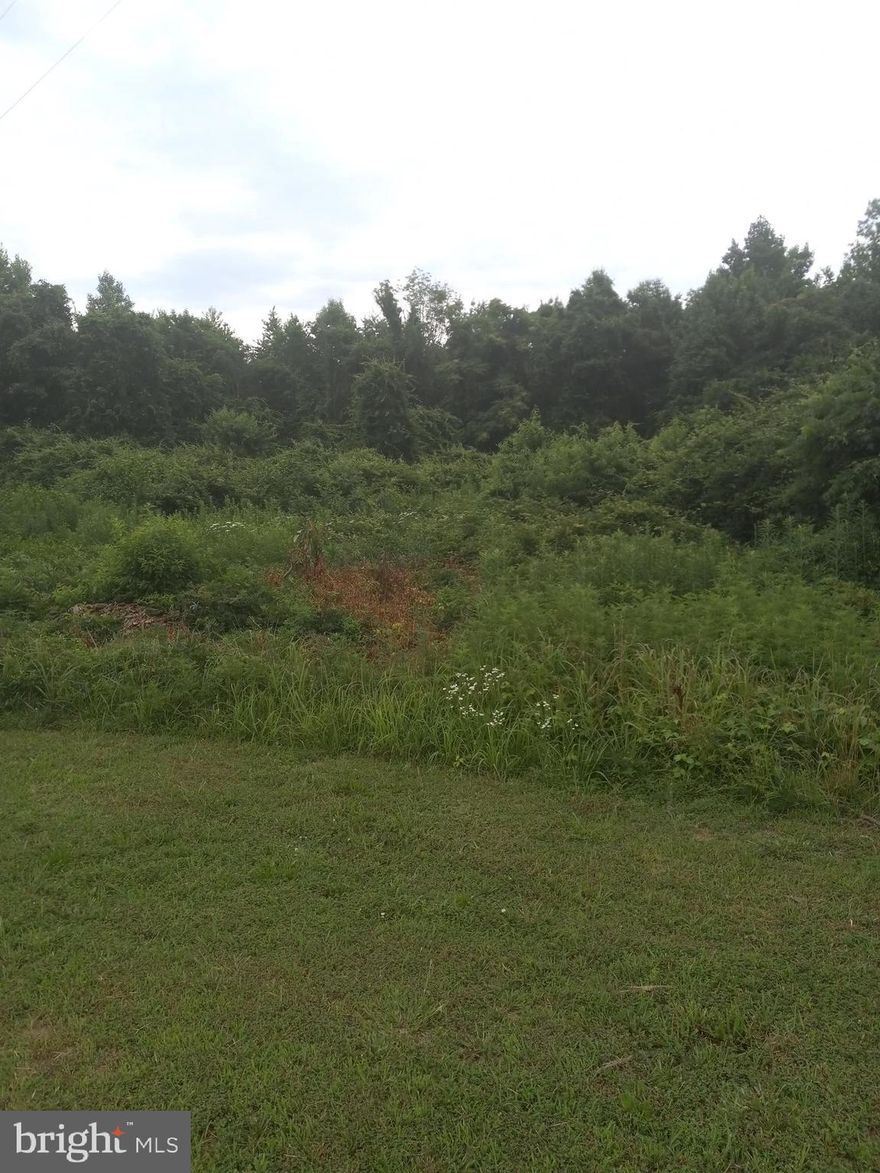 This lot has been surveyed and had a soil test (perc) . Wooded with a 30 foot easement. Ready to build on. Just bring your builder and plans. It is 1 mile from Spotsylvania High School, 15 minutes to shopping and eating and 20 minutes to Lake Anna State Park. Lot is adjacent to Lot 1.