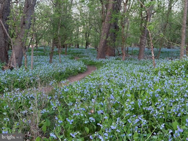 MILL ISLAND AT WORMAN'S MILL - Residential