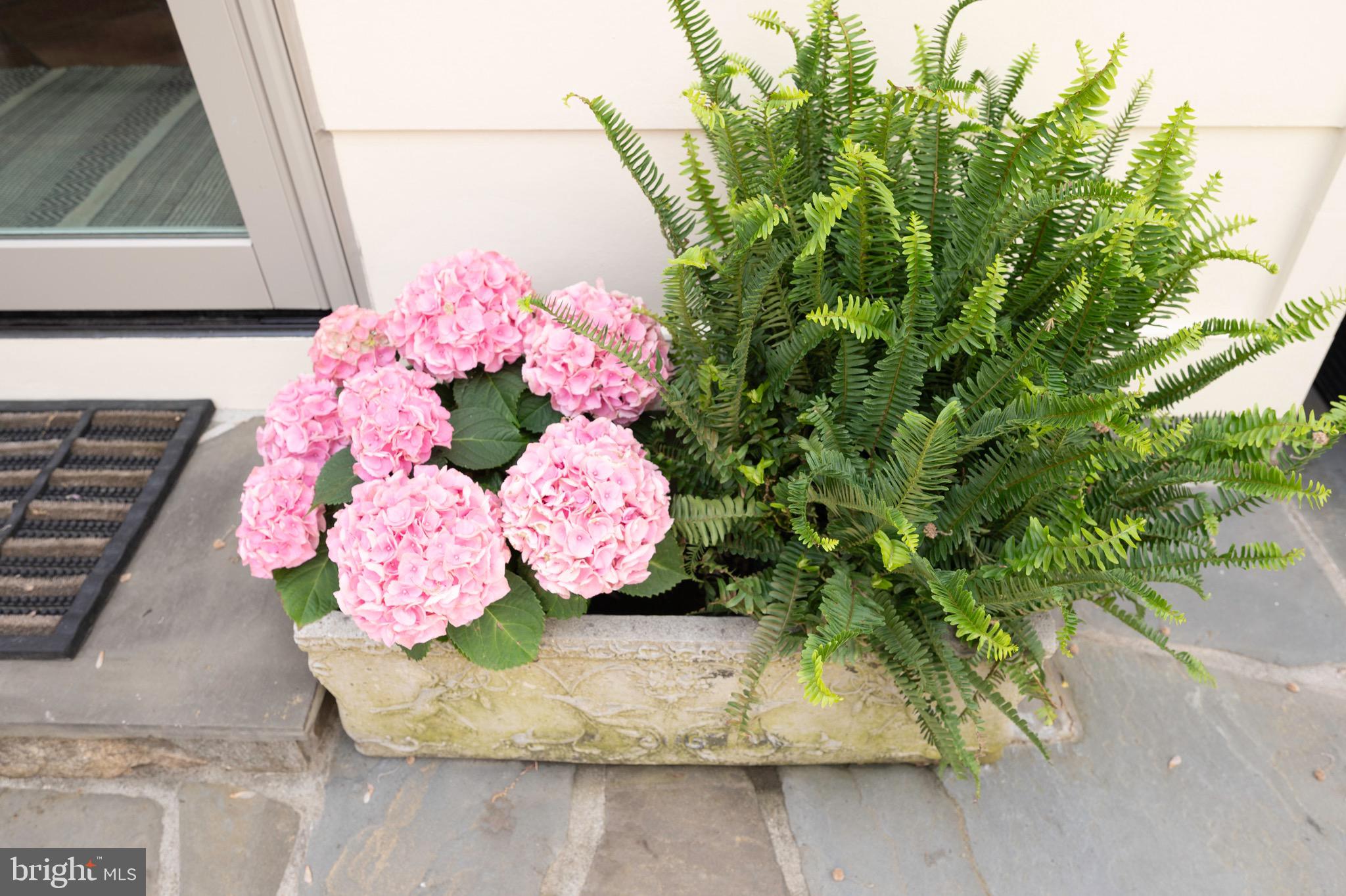 WAYNEWOOD - Residential