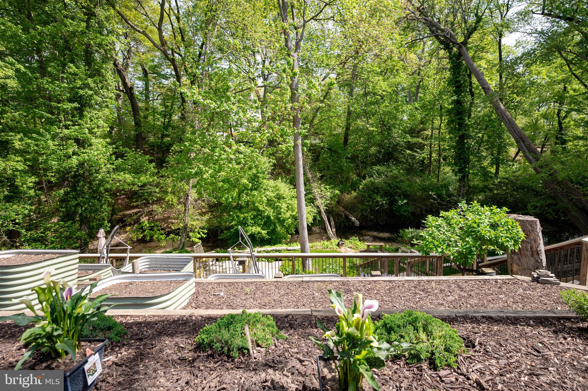 WAYNEWOOD - Residential