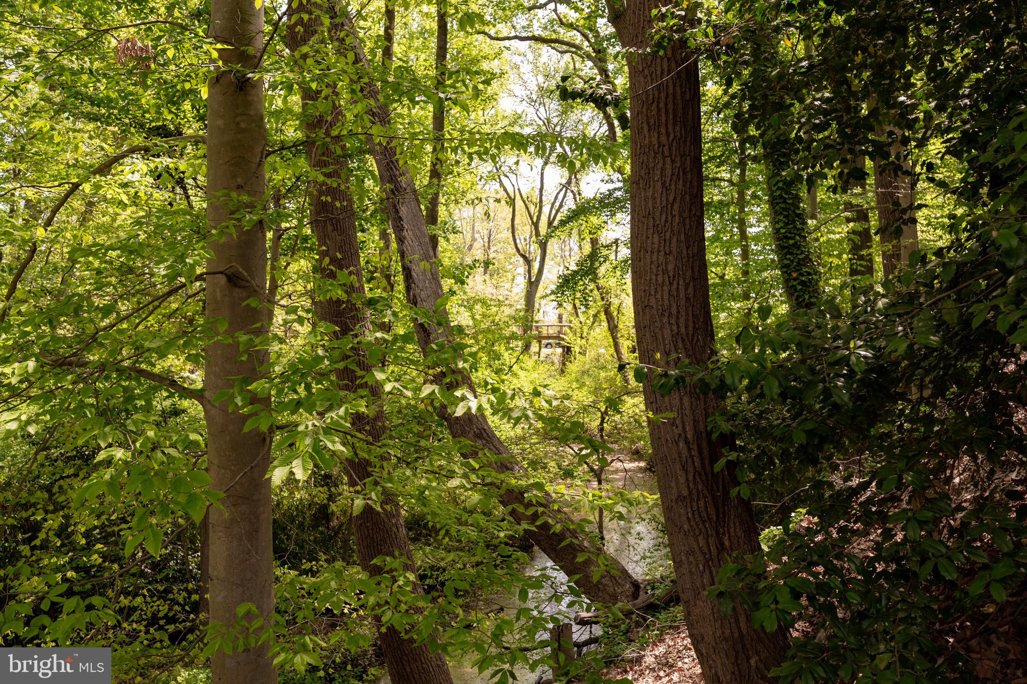 WAYNEWOOD - Residential