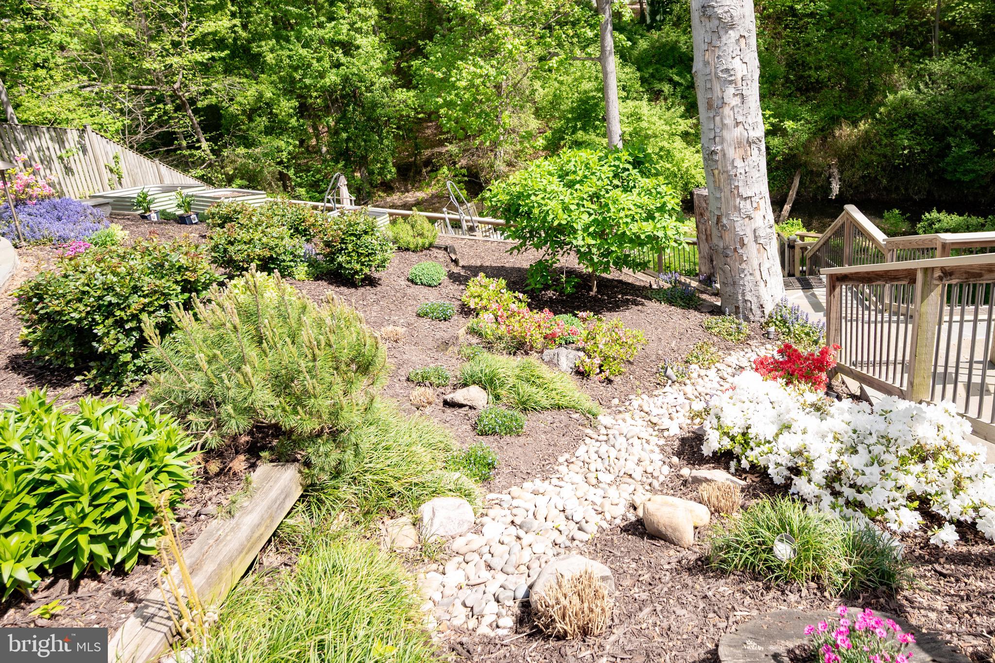 WAYNEWOOD - Residential