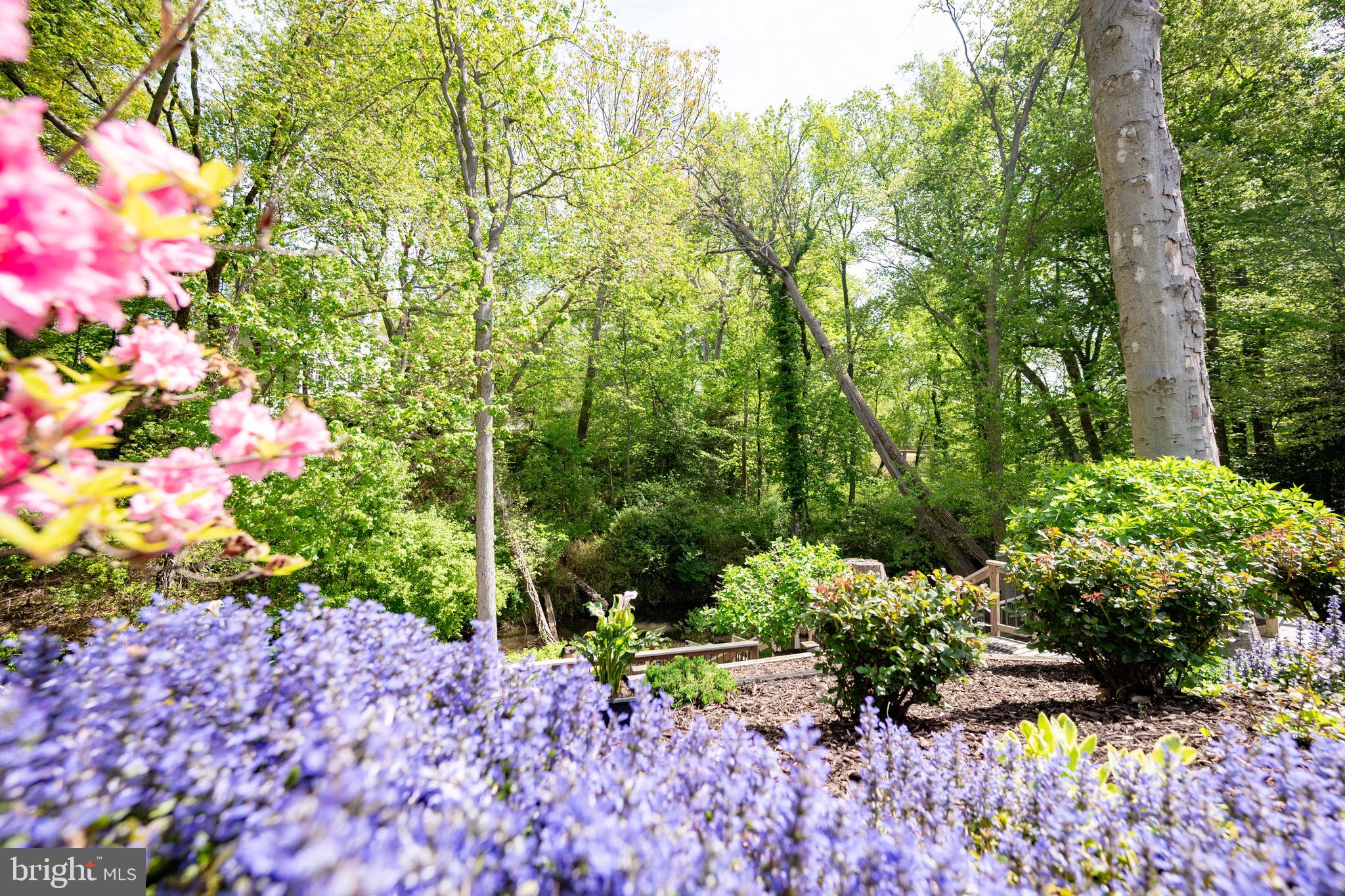 WAYNEWOOD - Residential