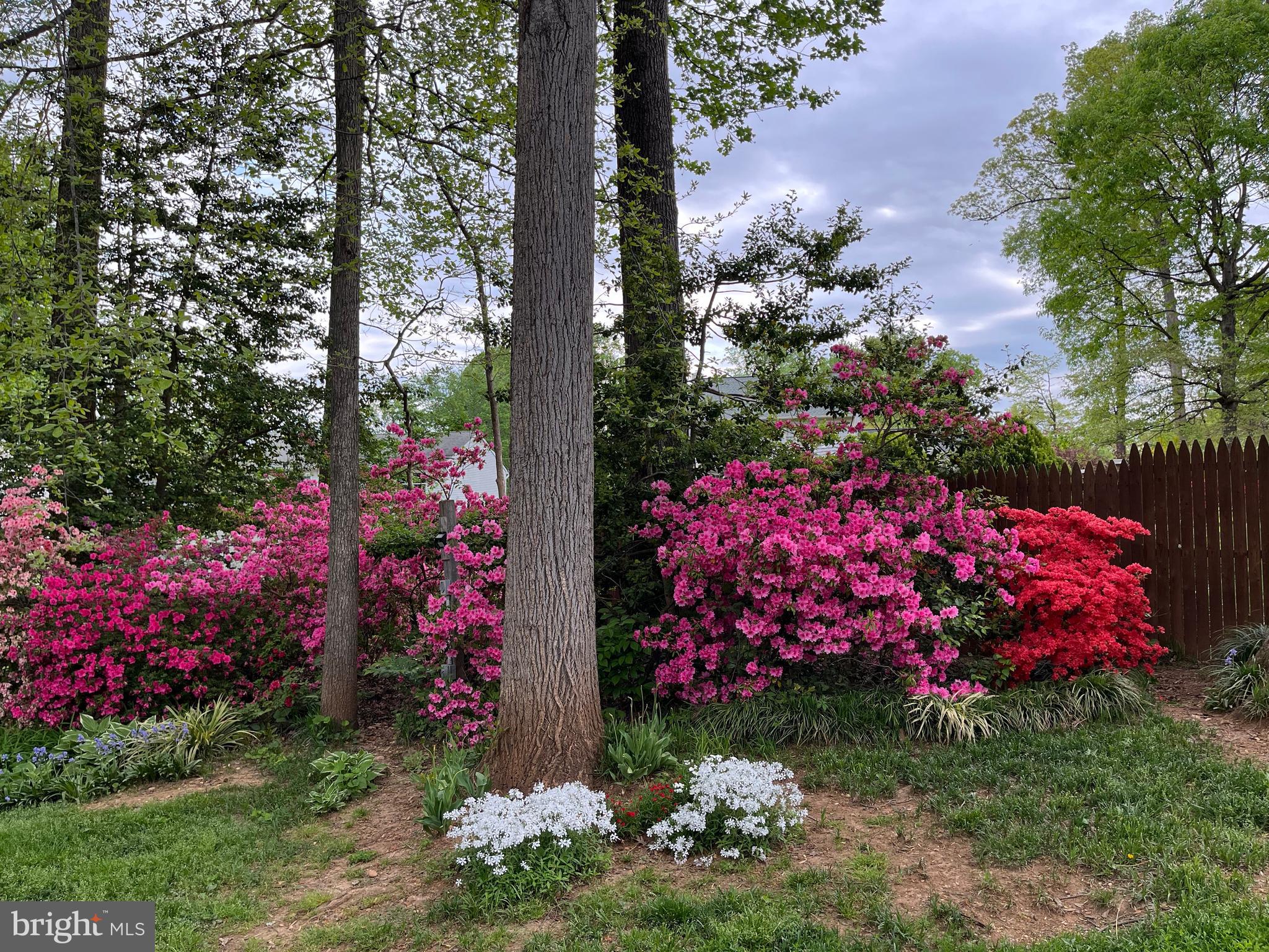 VISTA WOODS - Residential