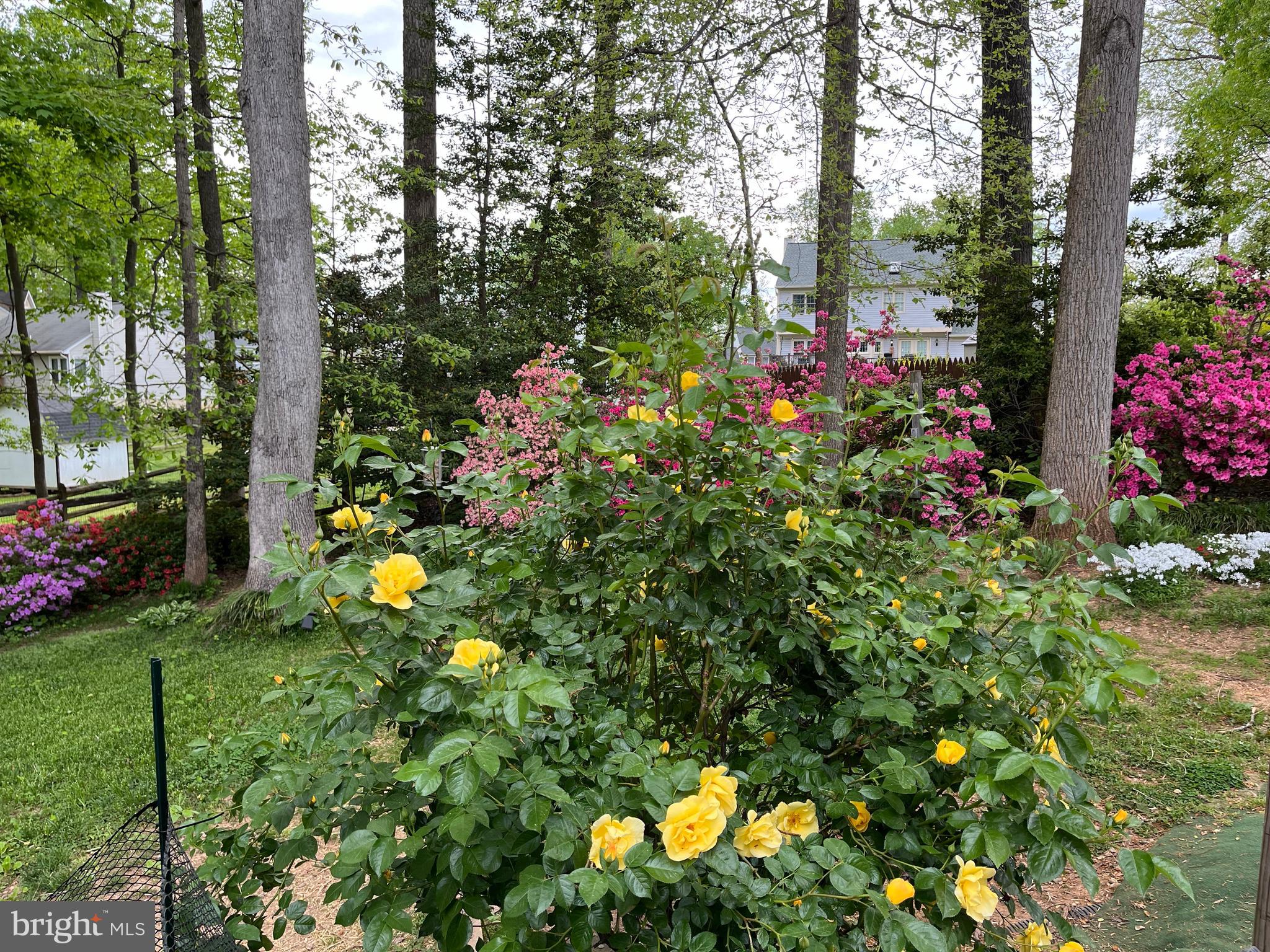 VISTA WOODS - Residential