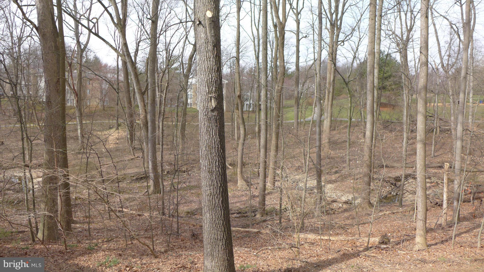 VILLAGE OF HICKORY RIDGE - Residential Lease