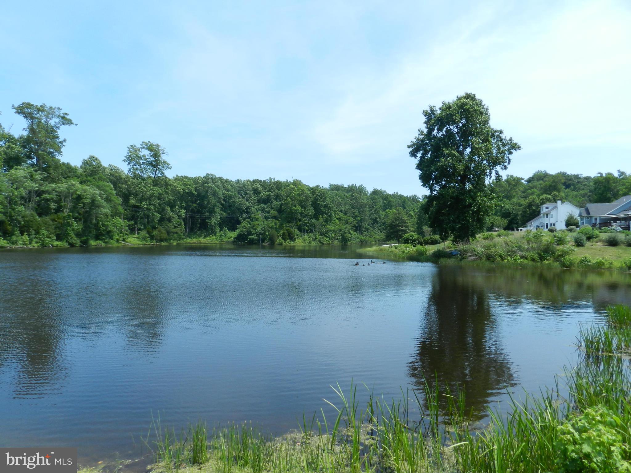 POTOMAC LANDING - Residential