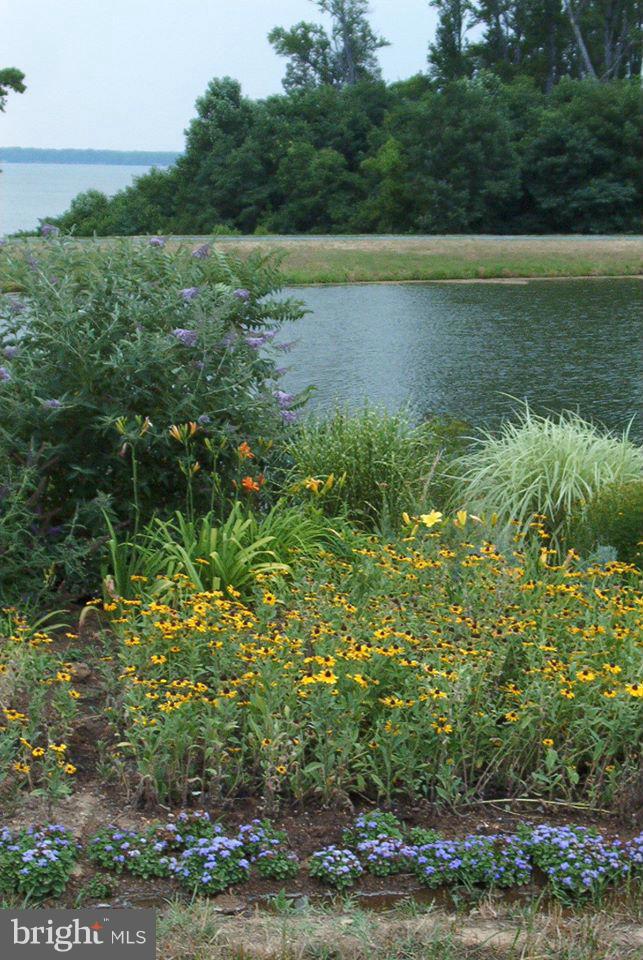 POTOMAC LANDING - Residential