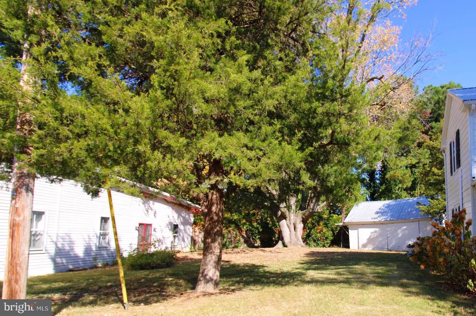 7683 TILGHMAN ISLAND ROAD