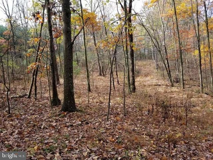 Great recreational or home site property in rural central PA, Juniata Co. 12.3 acre wooded lot, level to slope terrain with additional land available. Call today for more info!,Farm Fuel: None
