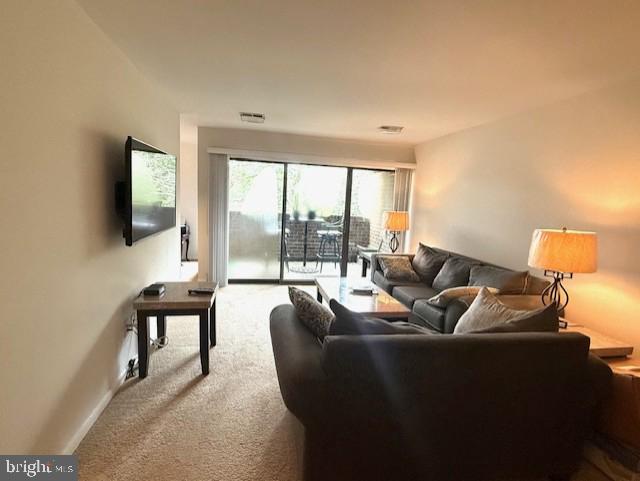 11260 CHESTNUT GROVE SQUARE 338