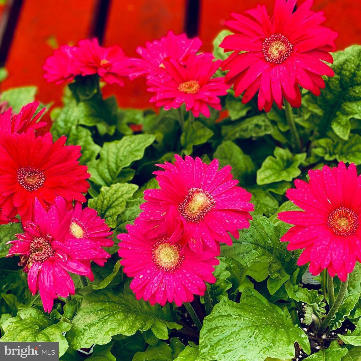 CEDAR RUN - Residential