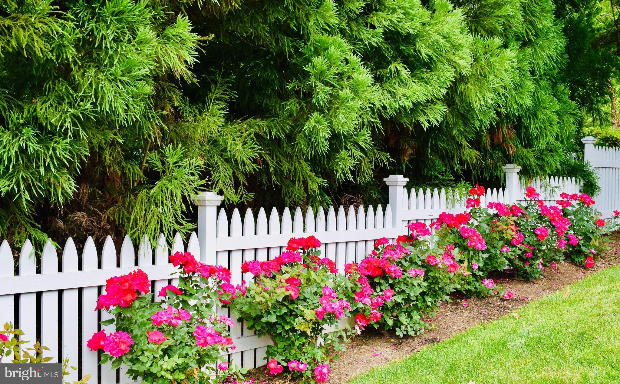 CEDAR RUN - Residential