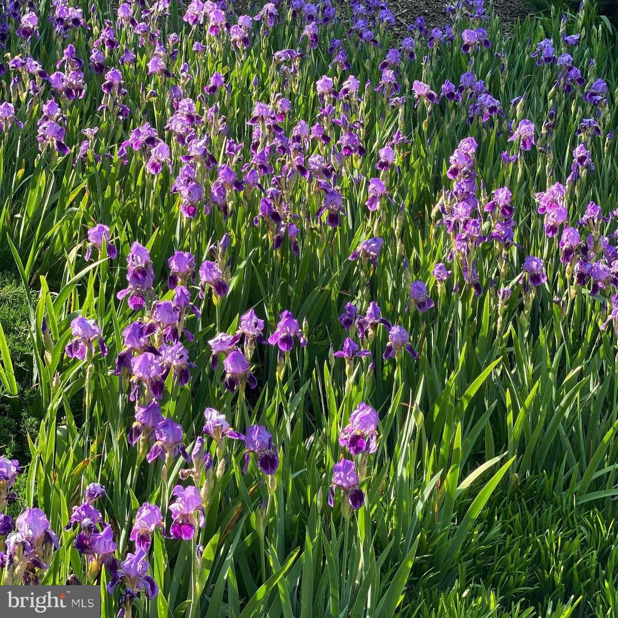 CEDAR RUN - Residential