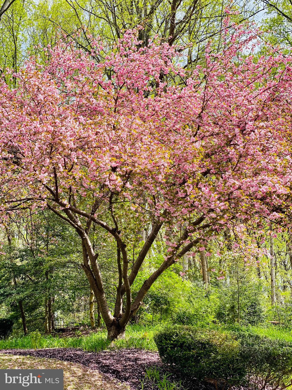 CEDAR RUN - Residential