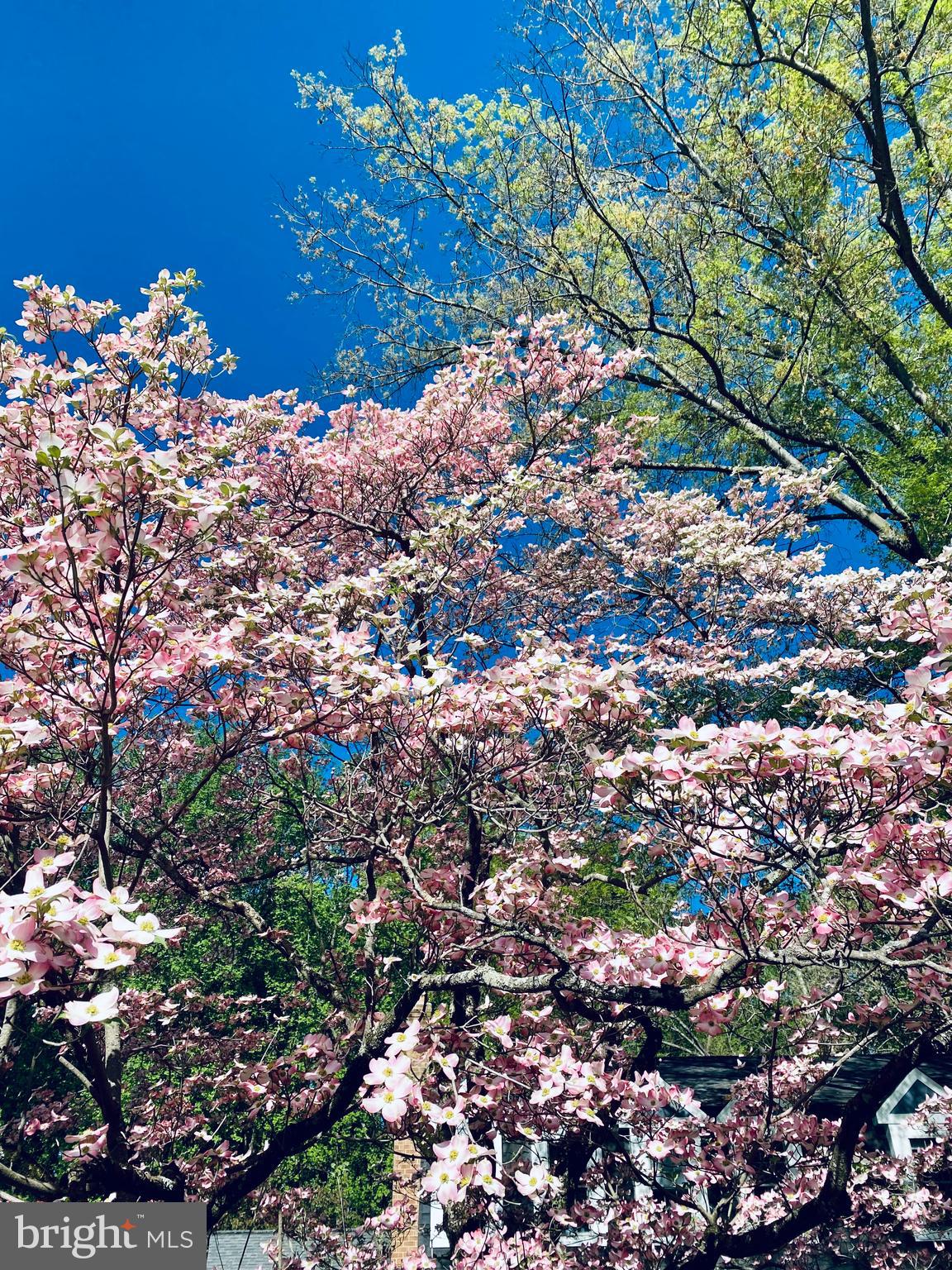 CEDAR RUN - Residential